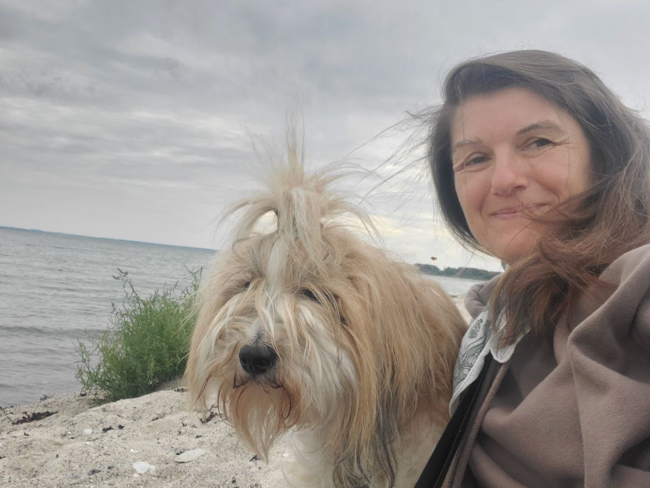 A. Träger mit Hund